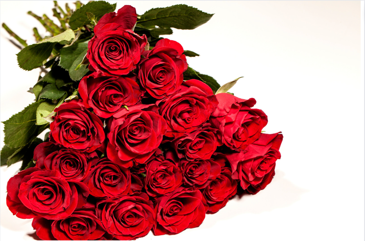 Bouquet de Roses seulement